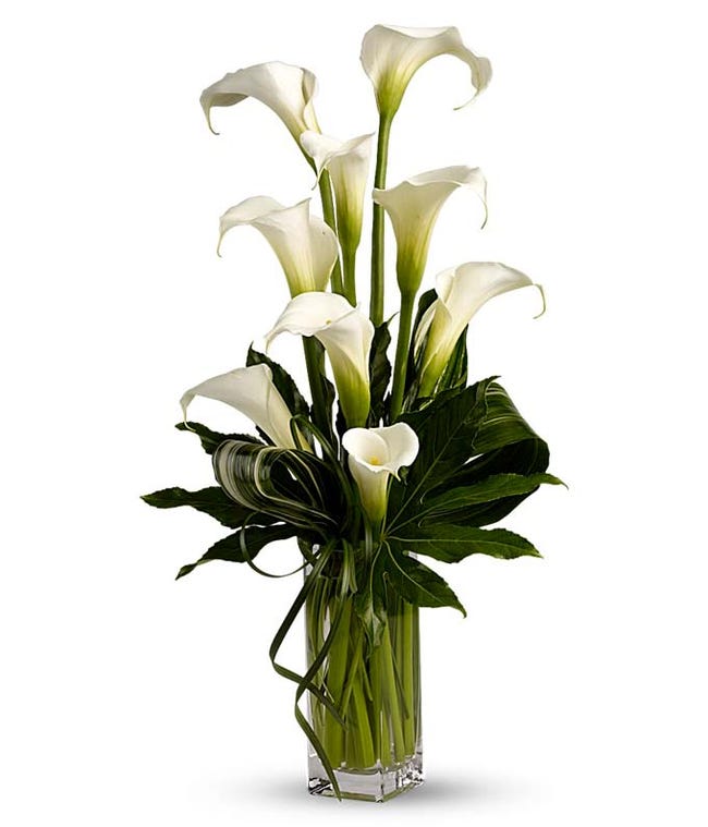 Calla Lilies Delivered Calla Lily Bouquets FromYouFlowers