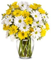 Send Daisies | Daisy Arrangements | FromYouFlowers