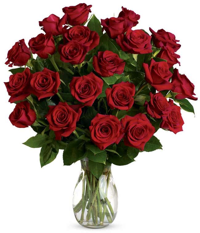Classic Romance Red Roses