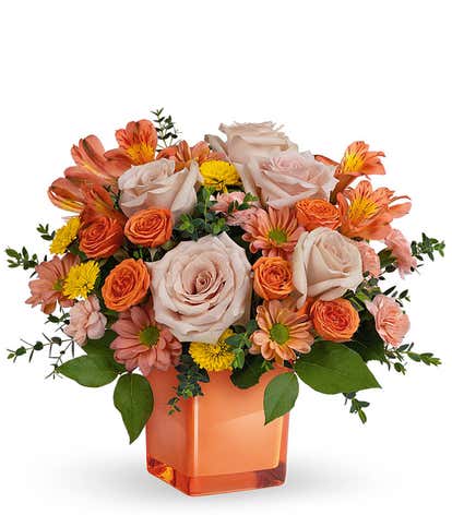 Pretty in Coral