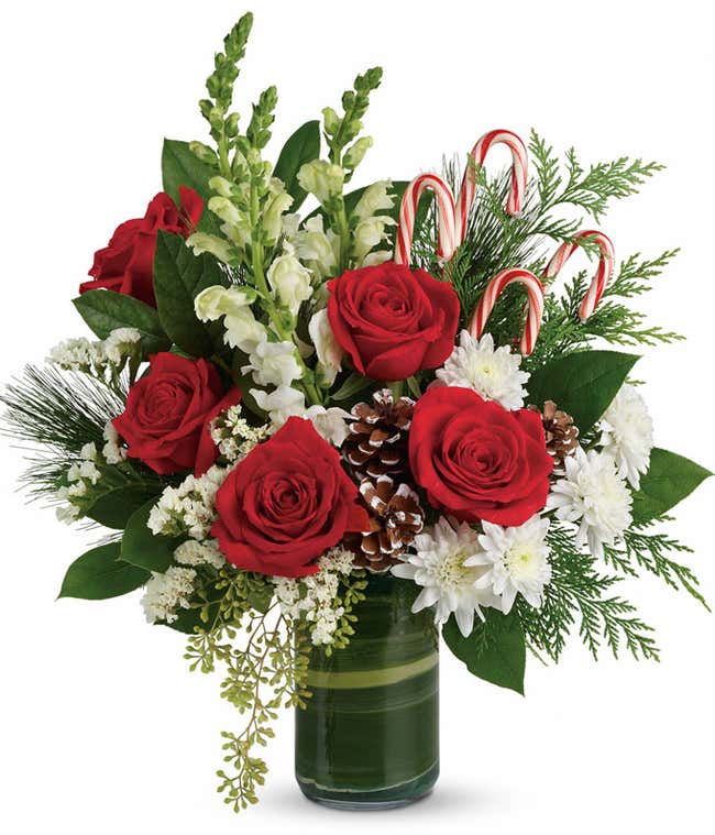 Red roses, white snapdragons and cedar with candy cane bouquet