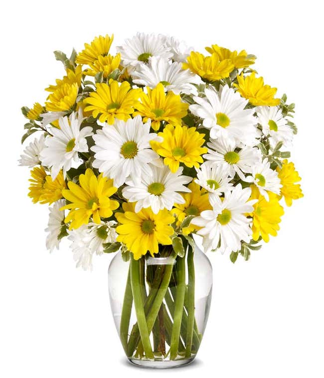 A cheerful arrangement featuring white daisy spray chrysanthemums, yellow daisy spray chrysanthemums, and assorted greens, all elegantly presented in a clear vase.