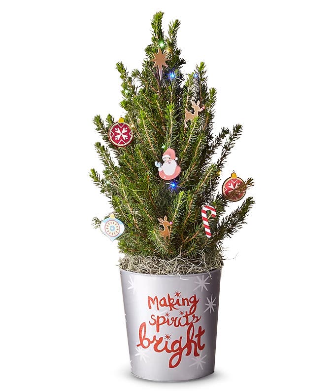 Christmas Flowers | FromYouFlowers