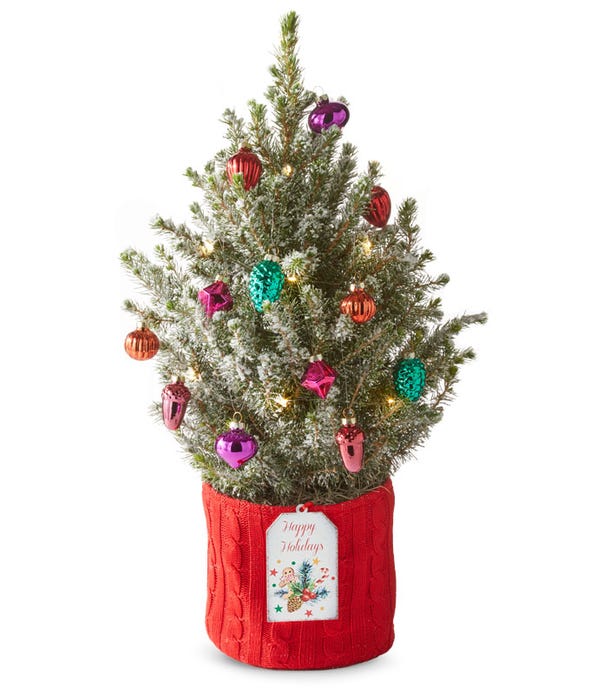 Mini Christmas Tree Delivery FromYouFlowers