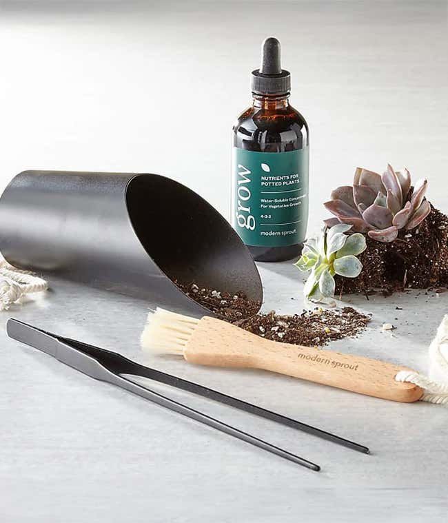 Gardening tool kit featuring a black metal scoop, long tweezers, a wooden-handled brush, a bottle of liquid plant nutrients labeled 