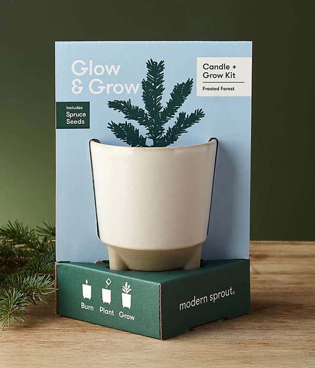 Candle and grow kit featuring a cream-colored planter. The box reads Glow &amp; Grow and Candle + Grow Kit Frosted Forest and mentions it includes spruce seeds. The planter sits on a green base.