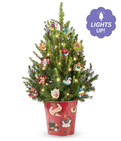 12 Days of Merry Mini Holiday Tree