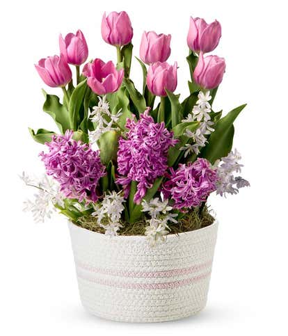 Springtime Blush Bulb Garden