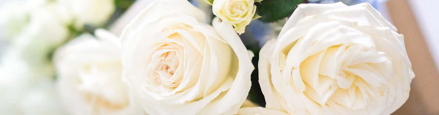 Fromyouflowers Flowers For Delivery Today Fromyouflowers Flowers For Delivery Today