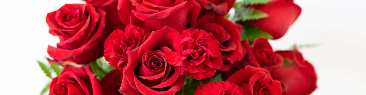 Ref Roses and Carnations, Shop Love &amp; Romance Flowers