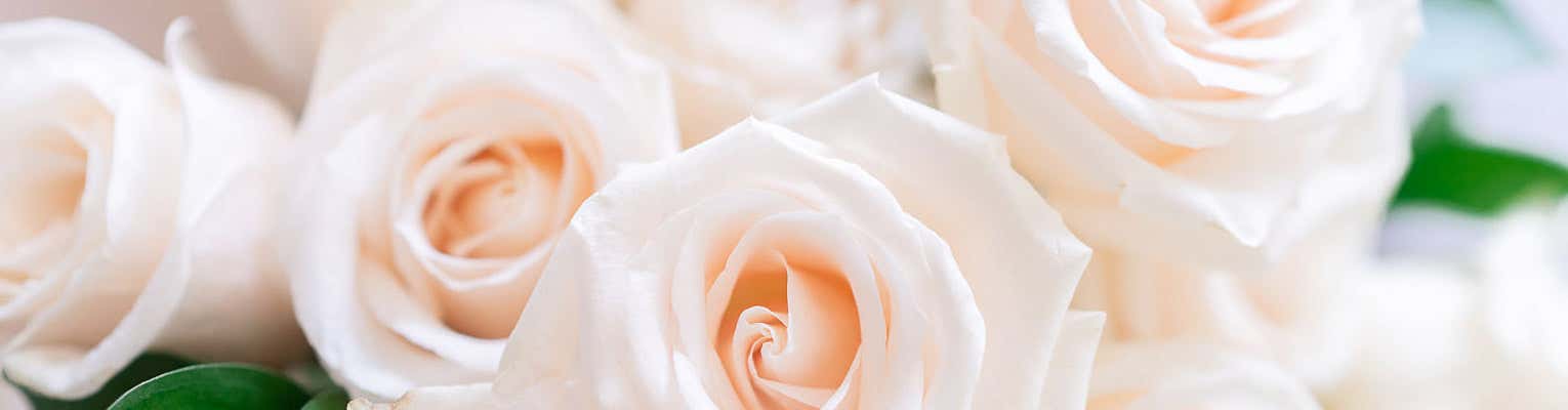 Shop Sympathy Flowers