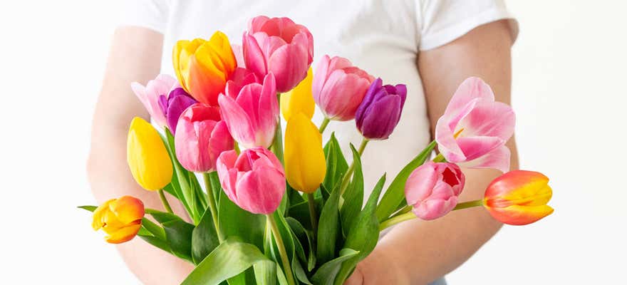 Easter flowers - shop now